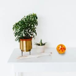 Mily Dragon Ball 7 Piece Dragon Ball Set Medium