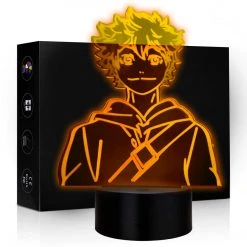 Mily Haikyu!! Shoyo Hinata Acrylic LED Lamp Figures