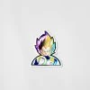 Mily Dragon Ball Super Vegeta Saiyan Forms Lenticular Sticker